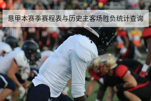 意甲本赛季赛程表与历史主客场胜负统计查询